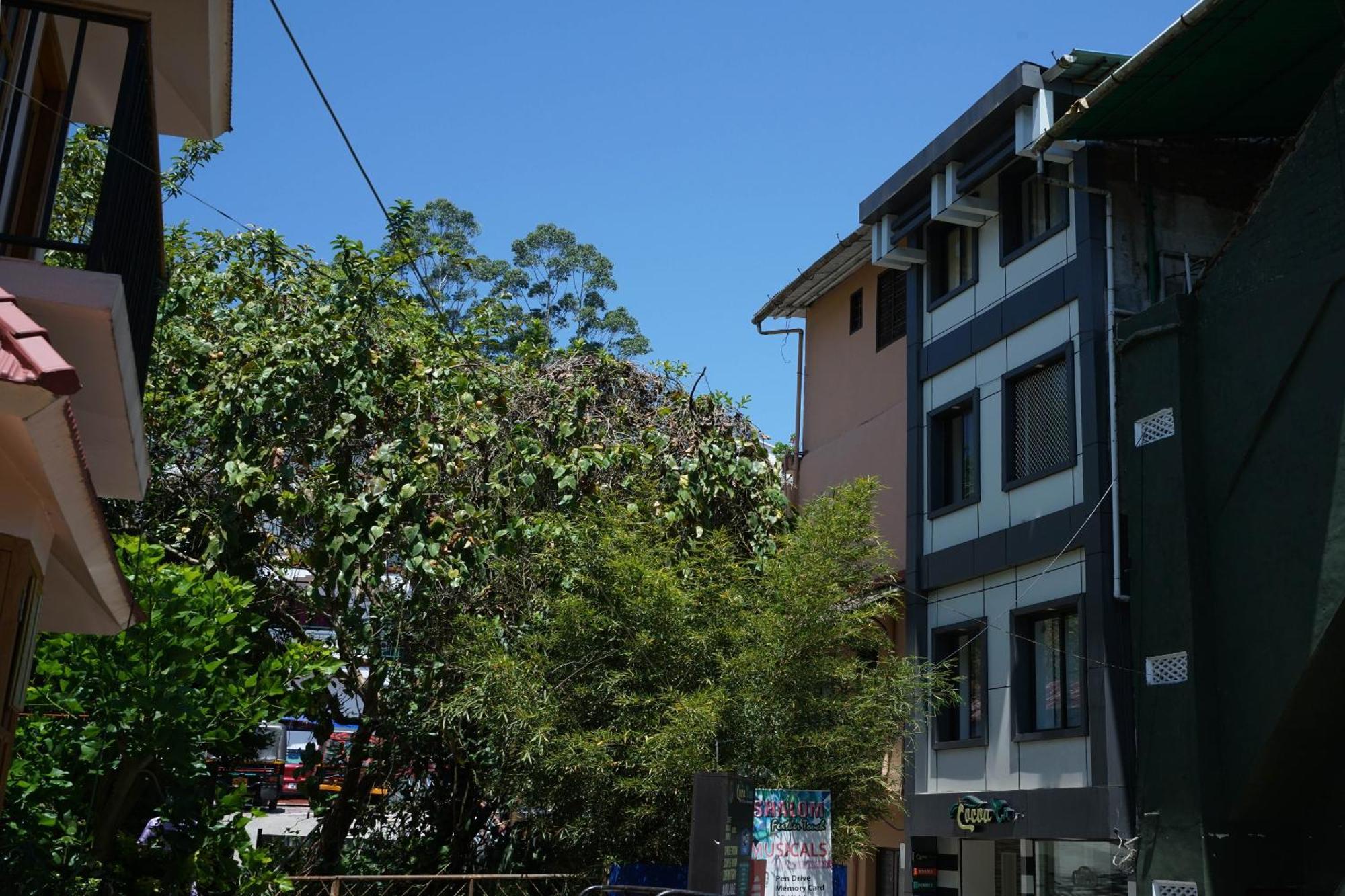 Oyo Hotel Cocoa Tree Munnar Exterior foto